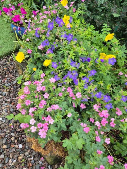 The old post office Callander holiday let Apartment in Scotland