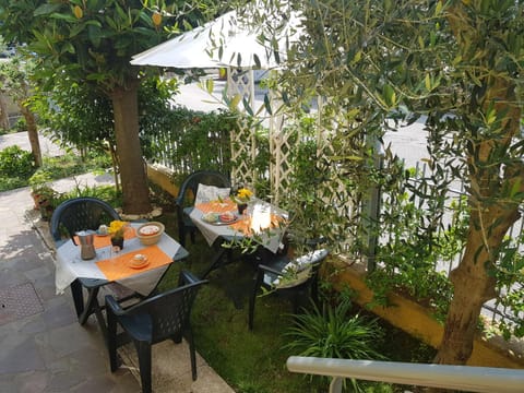 Patio, Garden, Inner courtyard view