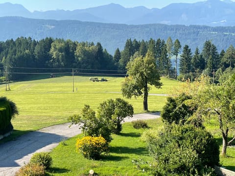 Haus Kleiner Seeblick Apartment in Spittal an der Drau