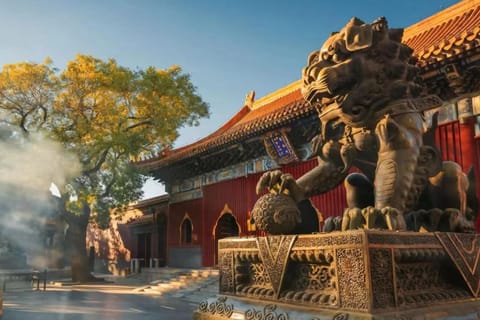 Happy Dragon Courtyard- Newly renovated with French Windows, Near Tian'AnMen Forbidden City,Lama Temple and Heaven Temple, 3minutes walk from Subway,Fluent English speaking with tourist sights tickets service ,Free coffee &laundry Service Hotel in Beijing