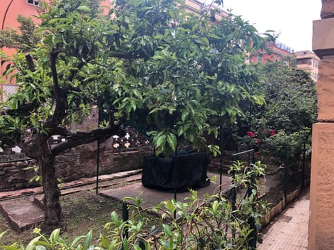 Patio, Garden, Garden