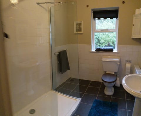 Shower, Toilet, Bathroom, Photo of the whole room, On site