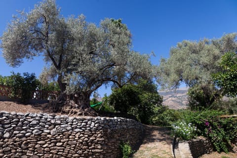 Cortijo el Azahar Villa in Costa Tropical