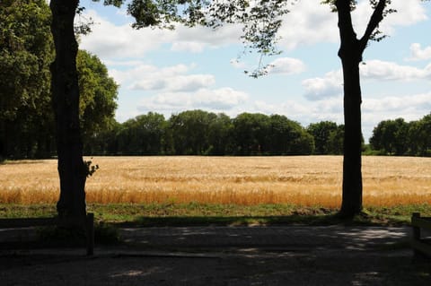 Neighbourhood, Natural landscape