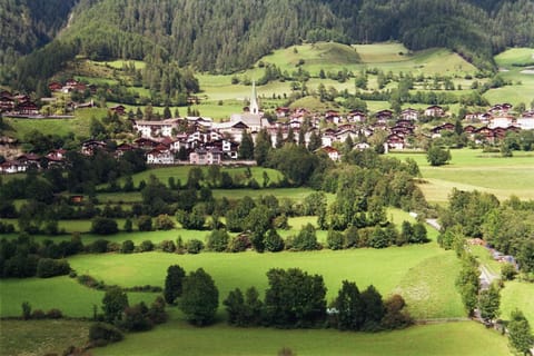 Natural landscape, Summer