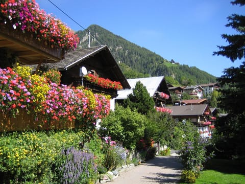 Neighbourhood, Summer