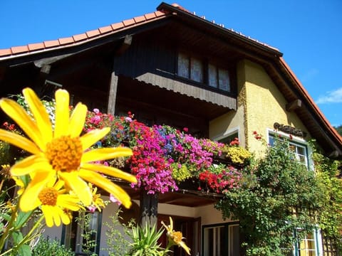 Property building, Day, Balcony/Terrace