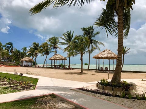 Beach, Sea view