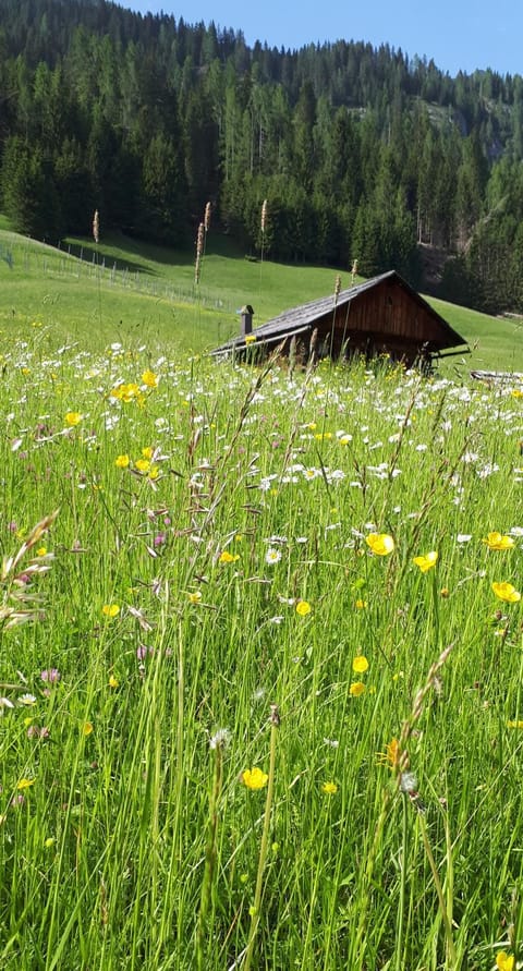 B&B Schlossar Haus Bed and Breakfast in Friuli-Venezia Giulia