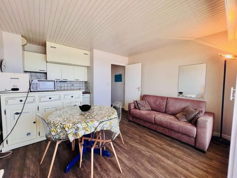 Quiberon - agréable 2 pièces avec vue sur le château, parking, animaux admis - FR-1-478-9 Apartment in Quiberon