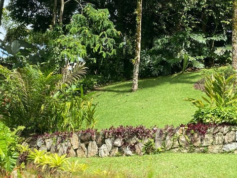 Tropical Contemporary Suites Location de vacances in Paraty