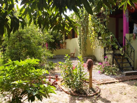 Patio, Garden, Garden