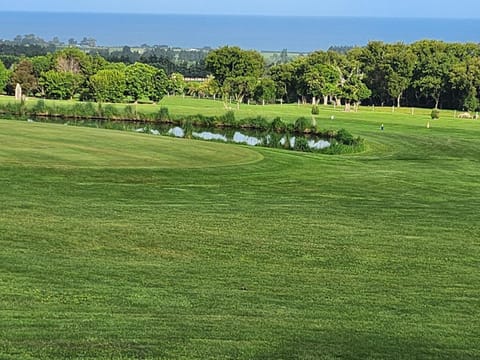 Koura Bay Golf Resort Hotel in Kaikōura