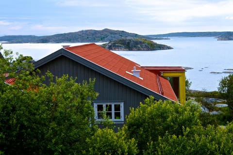 Natural landscape, Bird's eye view