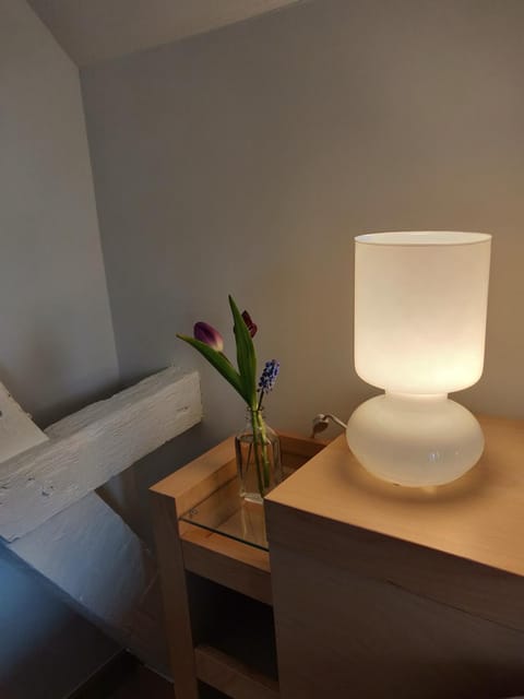 Annex House in Flanders