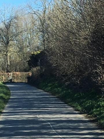 Annex House in Flanders