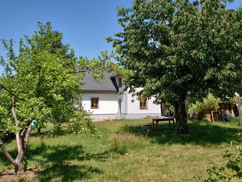 Property building, Facade/entrance, Garden