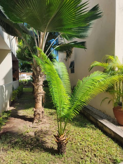 Garden, Garden view, Inner courtyard view