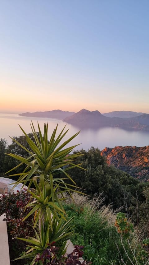 Natural landscape, Mountain view, Sea view