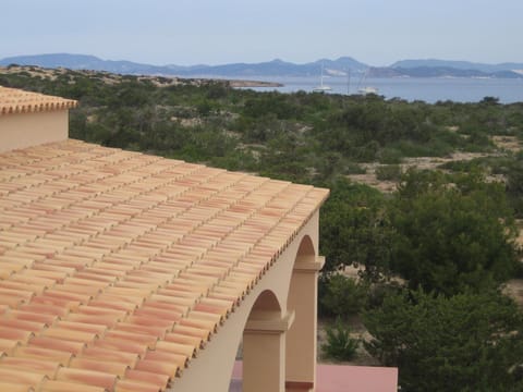 Sa Voliaina Villa in Formentera