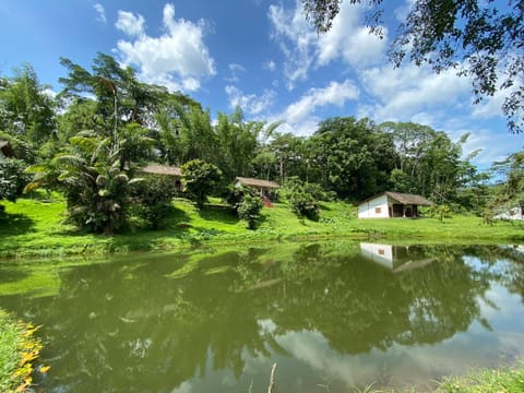 Property building, Garden view