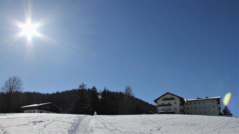 Property building, Neighbourhood, Winter