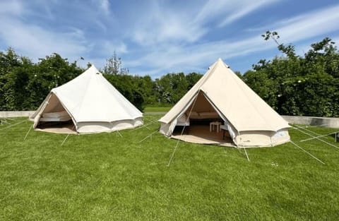 100 jaar TT Circuit Glamping Assen 2025 Bed and Breakfast in Drenthe (province)