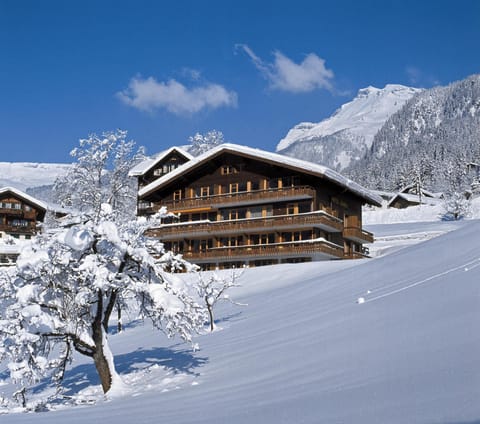 Hotel Cabana Hôtel in Grindelwald