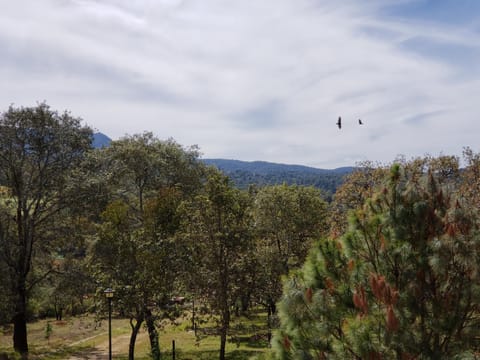 Natural landscape, Mountain view