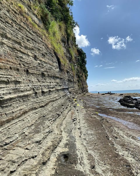 Natural landscape, Beach