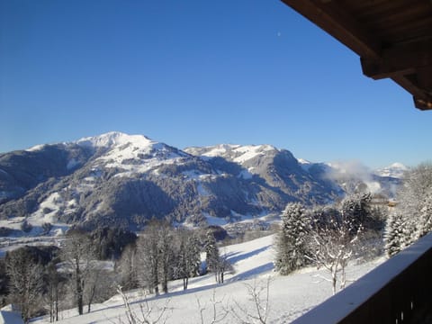 View (from property/room)