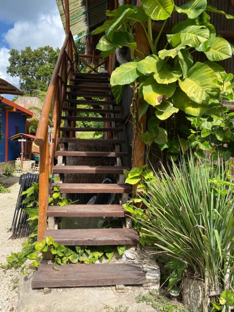 Malinche Cafe in Coba Tulum Vacation rental in State of Quintana Roo