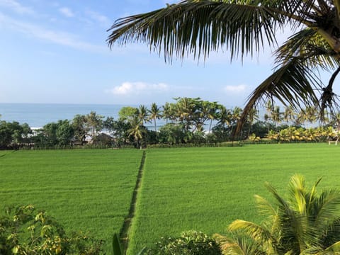 View (from property/room), Sea view