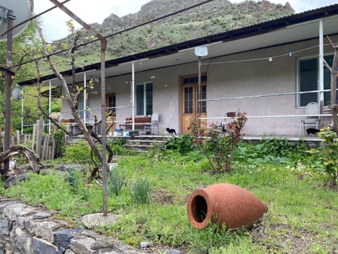 Property building, Garden, Garden view