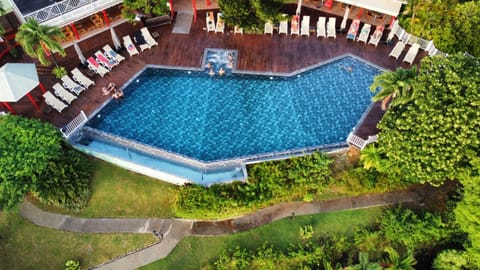 Bird's eye view, Swimming pool, Swimming pool, sunbed