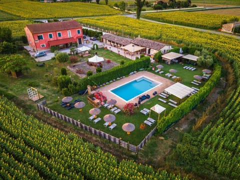 Natural landscape, Bird's eye view, Garden view, Pool view