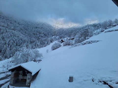 Winter, Mountain view