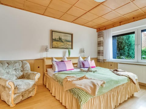 Flat in Ilsenburger Harz near the ski area Appartamento in Wernigerode