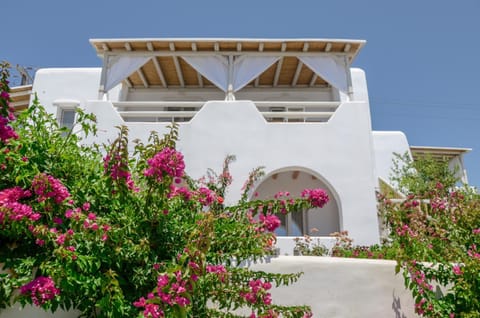 Naxos Nature Suites Hotel in Agios Prokopios