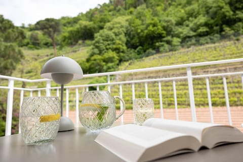 Balcony/Terrace, Garden view