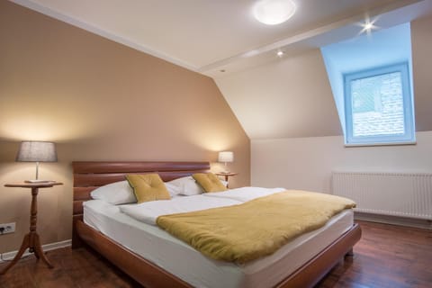 Old town 3 bedroom presidential loft Condominio in Ljubljana