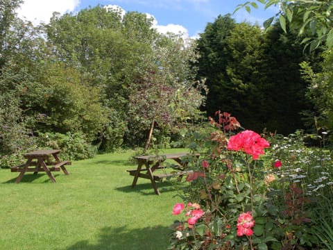 Property building, Garden