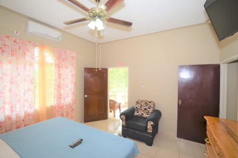 Bed, TV and multimedia, Bedroom, fireplace, wardrobe, air conditioner