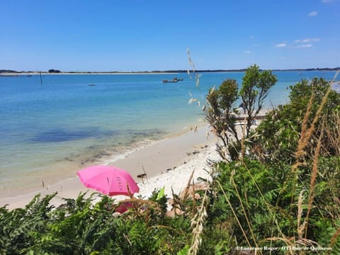 Carnac : Duplex 3 Pièces, Balcon, Animaux Admis, Parking - FR-1-477-73 Apartment in Carnac