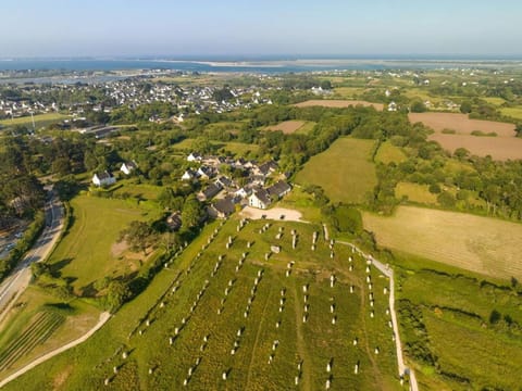 Carnac : Duplex 3 Pièces, Balcon, Animaux Admis, Parking - FR-1-477-73 Apartment in Carnac