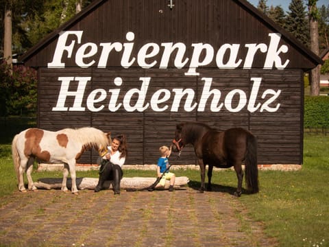 Seepark Heidenholz Plau am See House in Plau am See