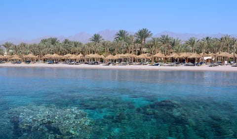 Jaz Fayrouz Resort in Sharm El-Sheikh