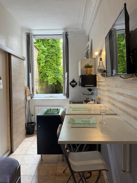 Studio Saint merry Fontainebleau Apartment in Fontainebleau