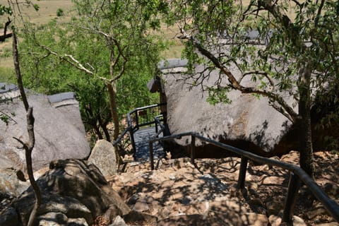 Tshukudu Bush Lodge Nature lodge in South Africa
