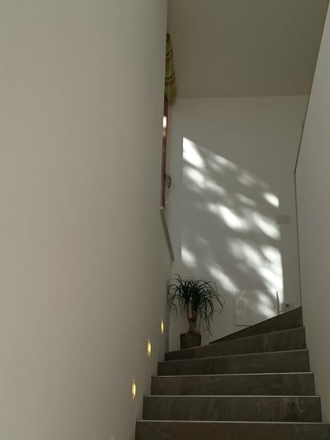 Living room, Area and facilities